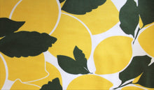 Load image into Gallery viewer, The Funday Skirt